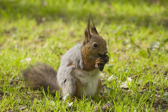 Den store guide til plantebaserede proteinkilder